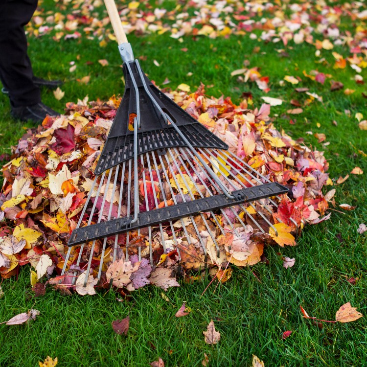 Lawn and Landscape Services in Knoxville, TN